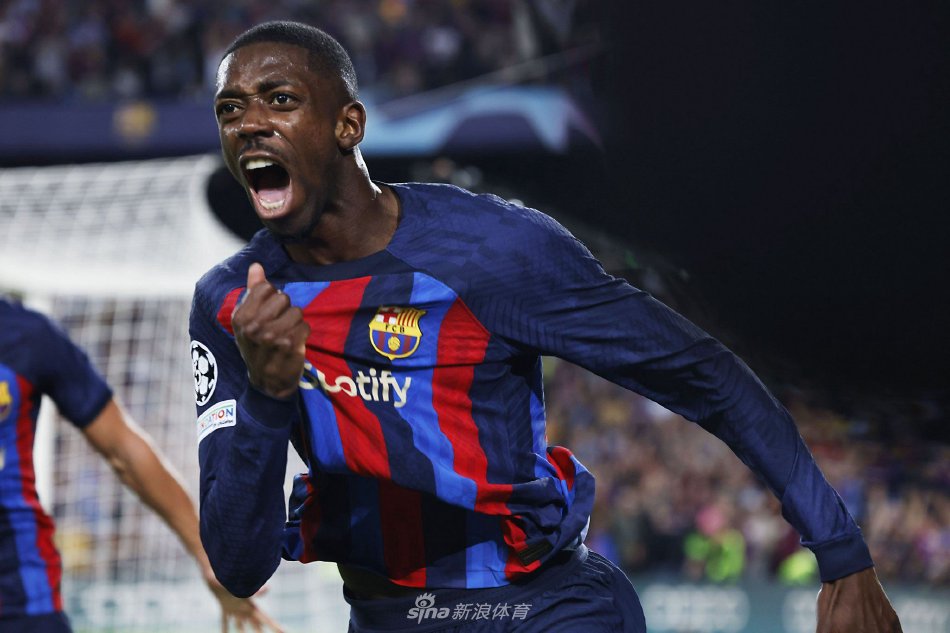 防线的新鲜 防线的新鲜